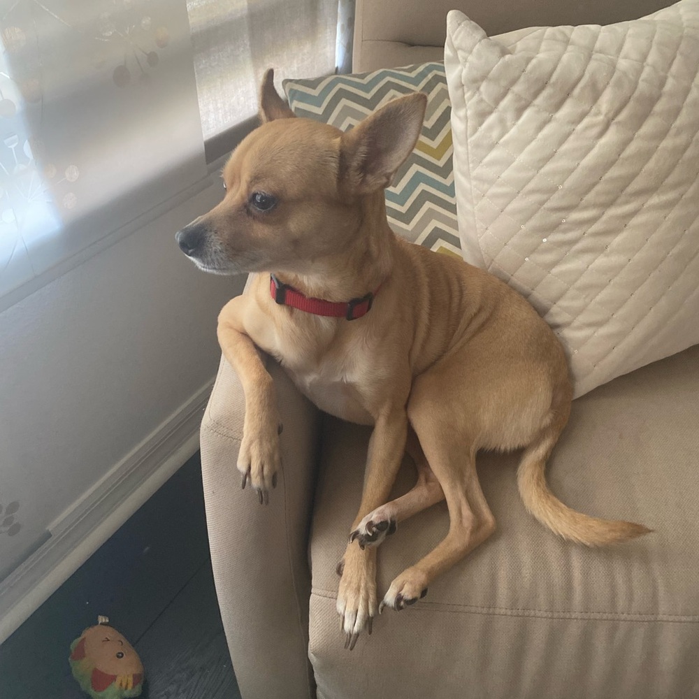 Meet your Posher, Tia